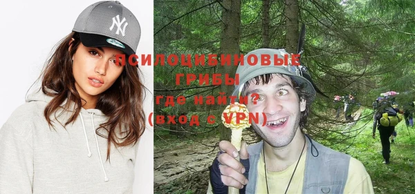 прущие крисы Медвежьегорск