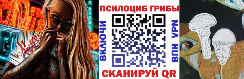 Галлюциногенные грибы Psilocybine cubensis  Венёв 